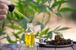 Cannabis oil tincture: Its Use And Misuse, Help, And Harm